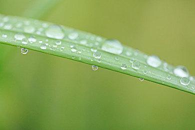 《幽霾》steam免费试玩开启！融合推理、生存与怪谈背景的社交游戏！